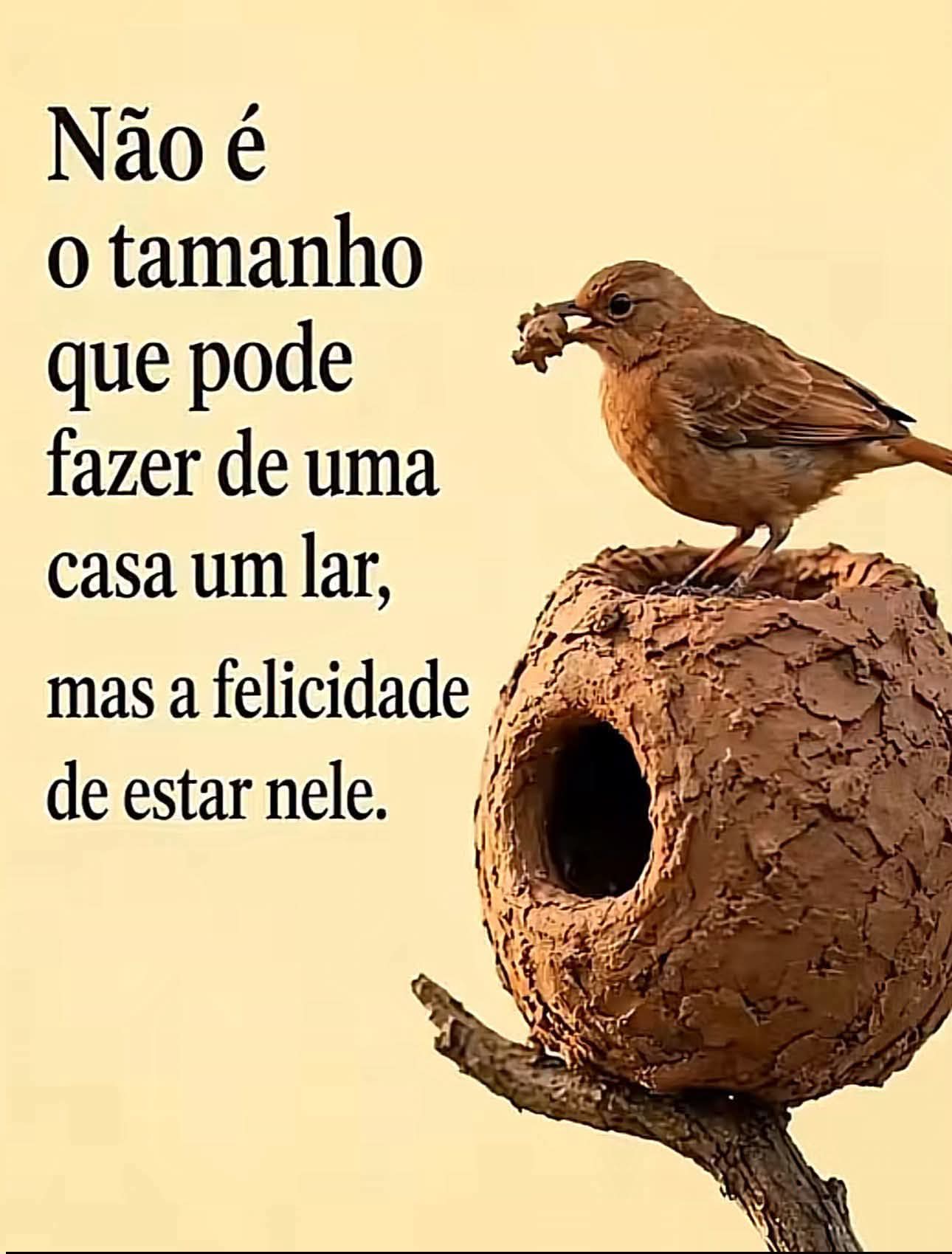 Ir Para